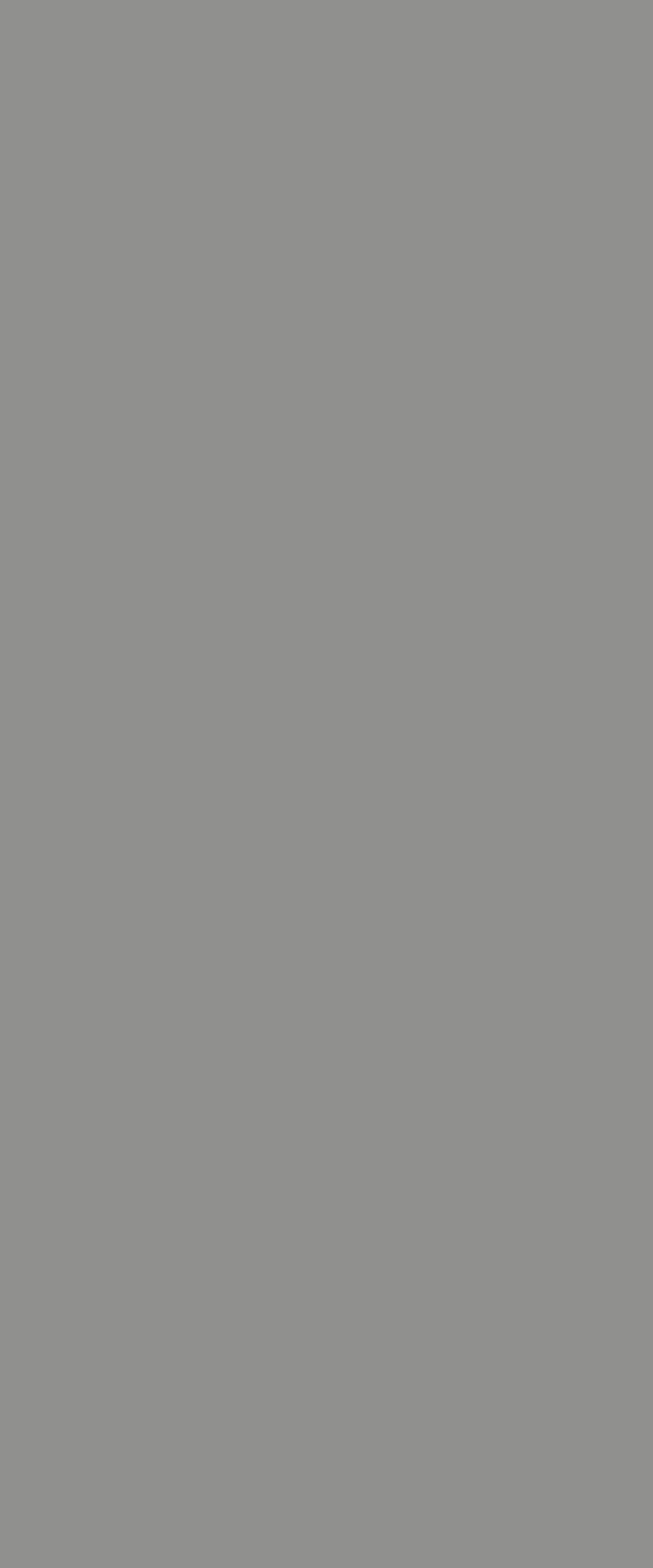 Fenix Grigio Efeso finish